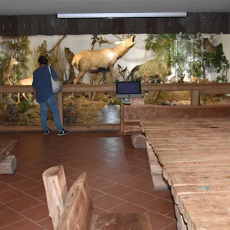 Privatunterkunft Dormi Nel Parco Vicino Reggia Di Venaria