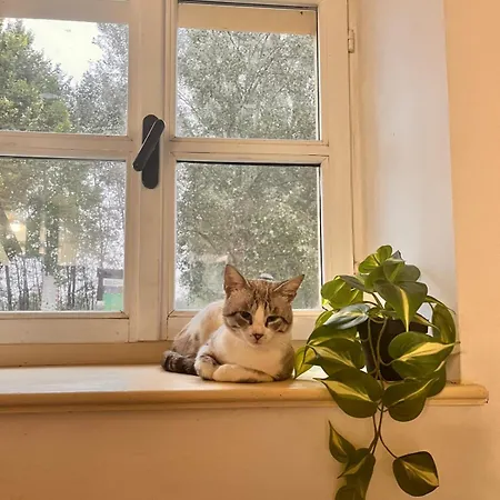 Проживание в семье Casa Brero